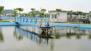 完善的服務(wù)體系