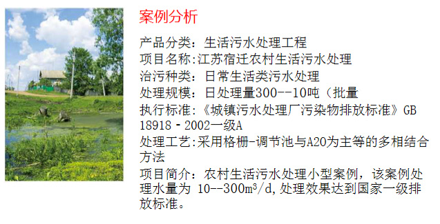 農(nóng)村生活污水處理工程(圖2)